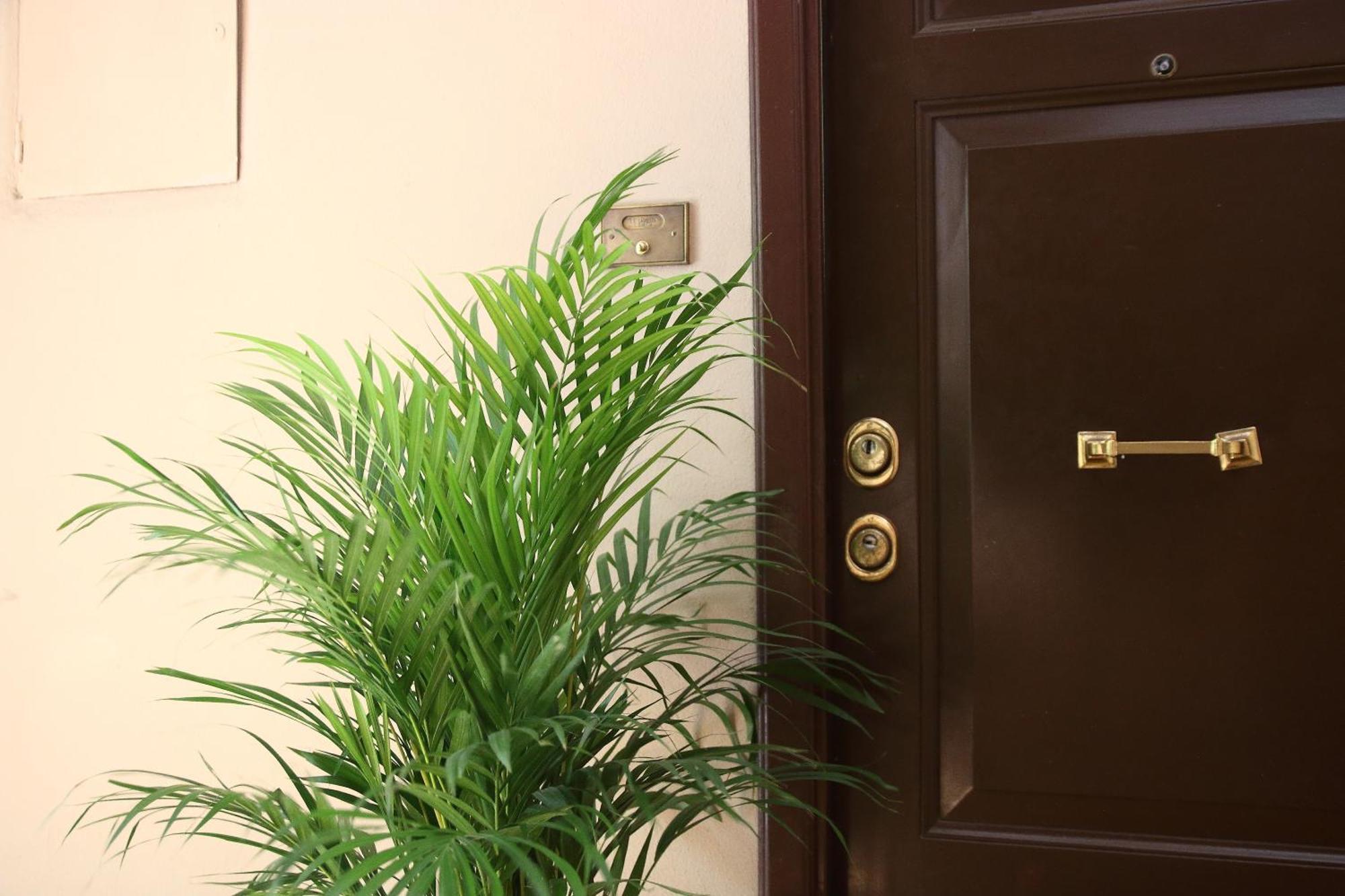 Apartment Deco Garden Trastevere Rom